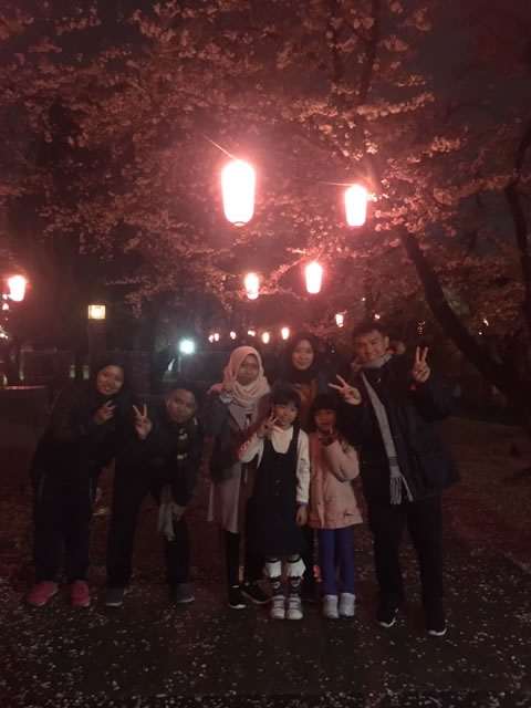 夜桜を見に