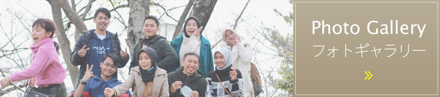 フォトギャラリー